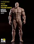 Adam AD01 1/12 Super Strong Male Body Comic Style