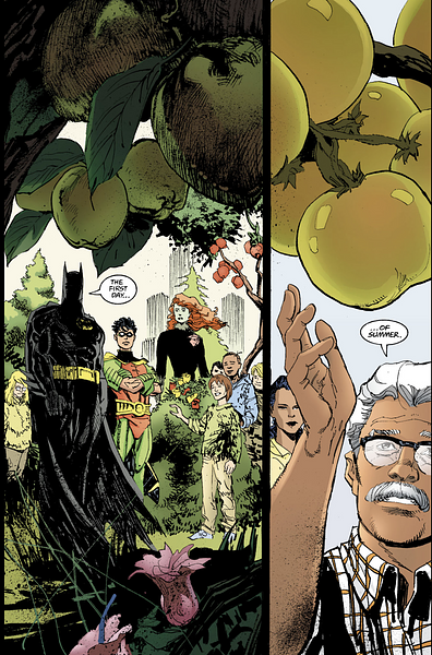 Detective Comics (1937-) #735